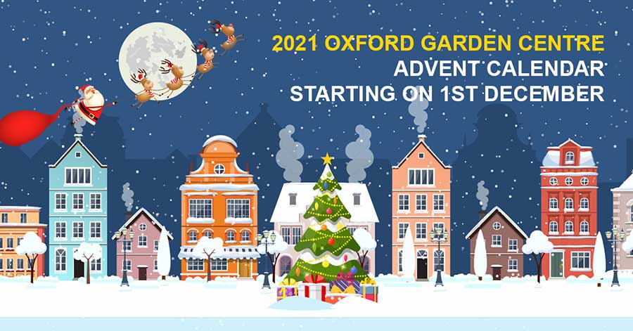 The Oxford Garden Centre Advent calendar with an offer behind each door